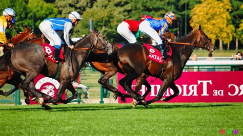 steepledowns results paddy power